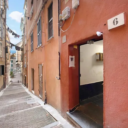 Zona Carmine